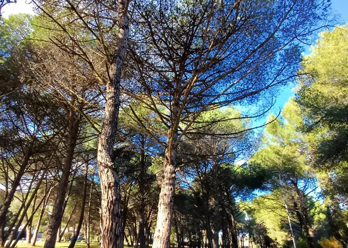 Lenic Apartman, Free Private Parking 파자나